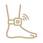 Projekt bez nazwy - 2026-02-04T120414.351